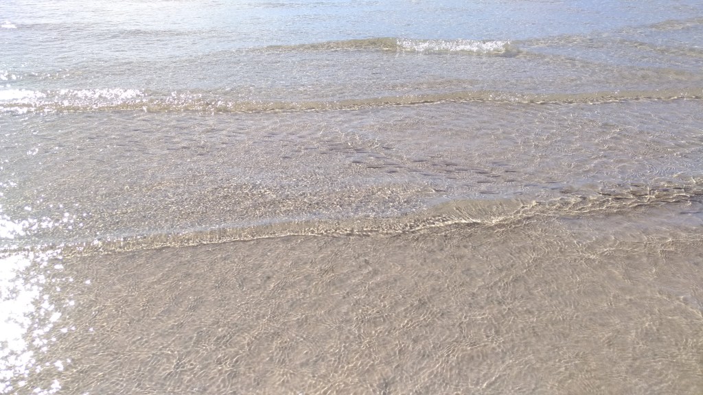 La ricerca della&nbsp;trasparenza